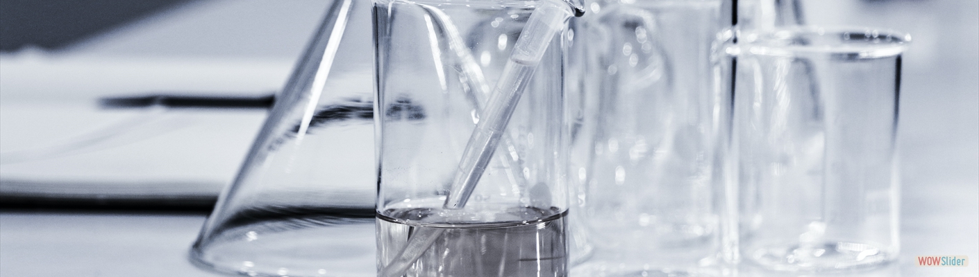 hans-reniers-lQGJCMY5qcM-unsplash