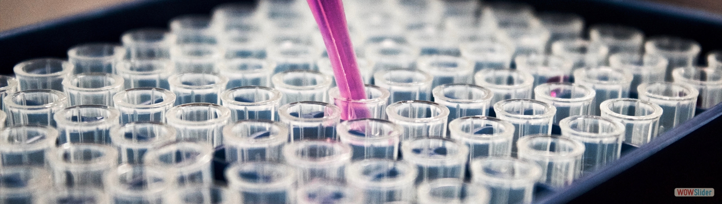 louis-reed-pwcKF7L4-no-unsplash (1)