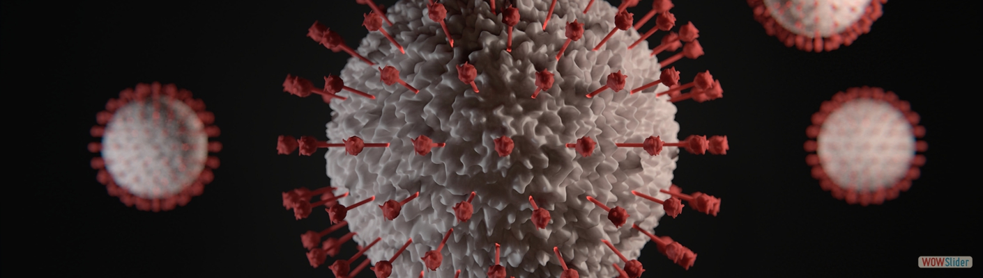 viktor-forgacs-FcDqdJUM6B4-unsplash